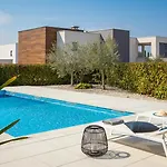 Vivi Rent - Old Olive Vii *
