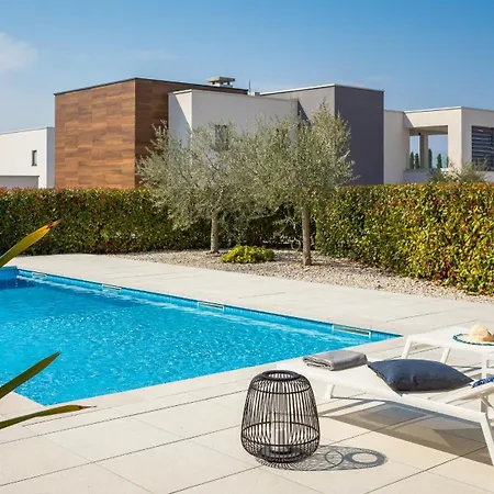 Vivi Rent - Old Olive Vii *
