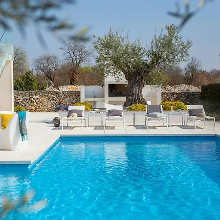 Vivi Rent - Old Olive Vii Villa